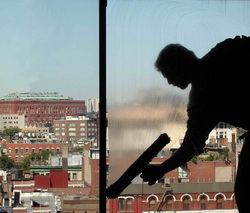 Water Poles and Brushes