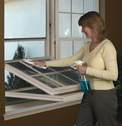 Window Cleaning Businesses