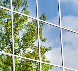 Window Cleaning Services